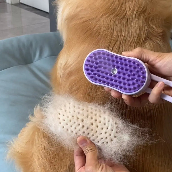 Paw Brush™ Massage Pro